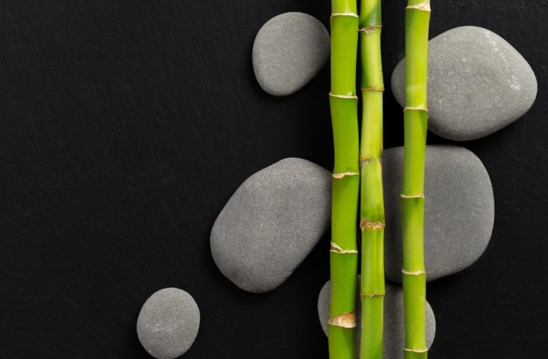 Terapia secretă a frumuseții și relaxării: Mângâierea delicată a bambusului